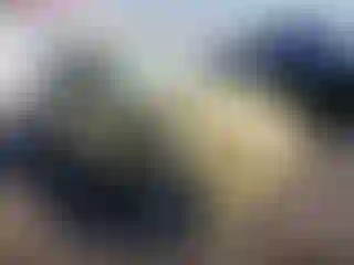 Vehicle Image- 1972 Volkswagen Beetle